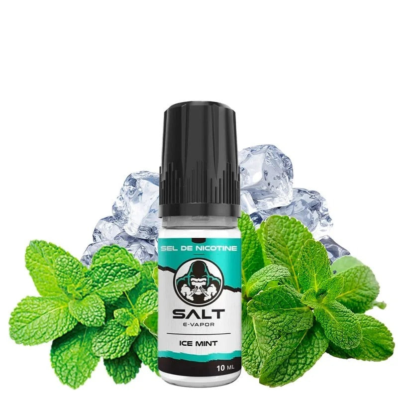 Ice Mint Salt E-Vapor 10ml – Le French Liquide