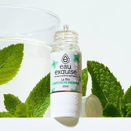 L’Infusion Menthe – La Bio