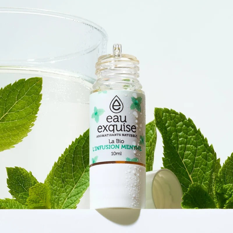 L’Infusion Menthe – La Bio