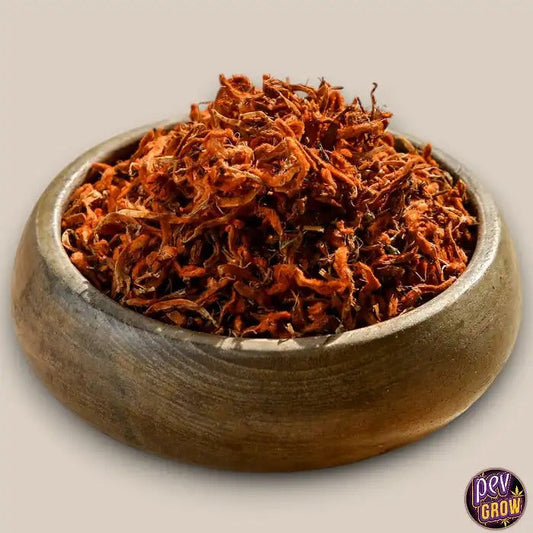 Fleurs de Wild Dagga (Leonotis leonurus) 50g · Relaxant Naturel & Aphrodisiaque