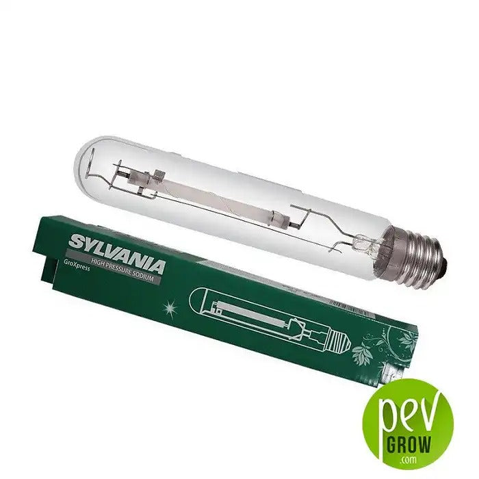 Ampoule de Floraison Sylvania SHP-TS – Densité et Rendement Maximaux
