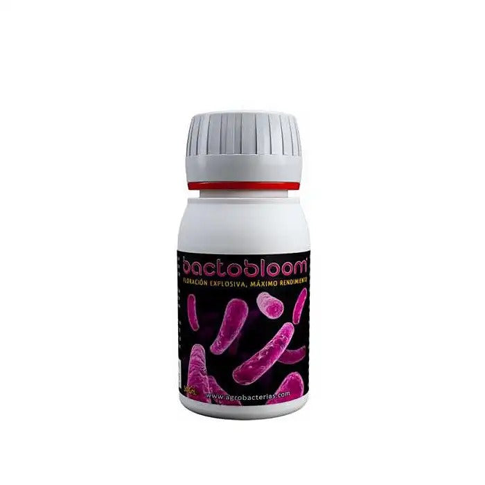 Bactobloom pour la floraison, Agrobacterias – Stimulant microbien pour bourgeons explosifs et rendements plus élevés