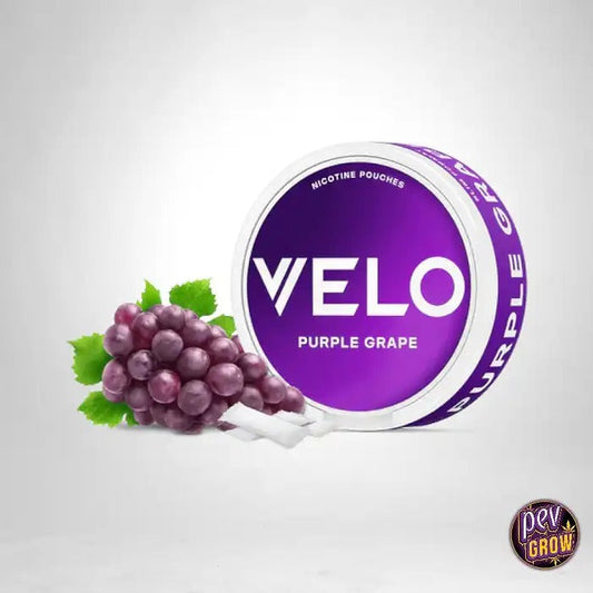 VELO Groovy Grape 10mg Nicotine Pouches – Snus sans tabac