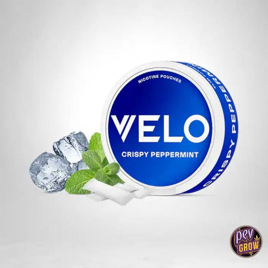 VELO Crispy Peppermint 10mg – Sachets de nicotine | Fraîcheur intense