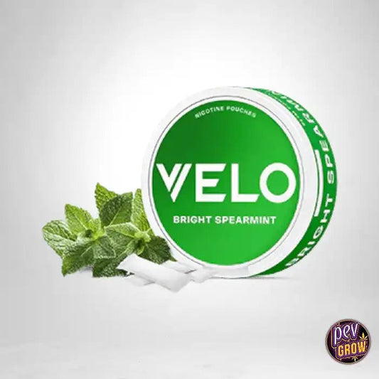 VELO Spiffy Spearmint 10MG · Sachets de nicotine sans tabac