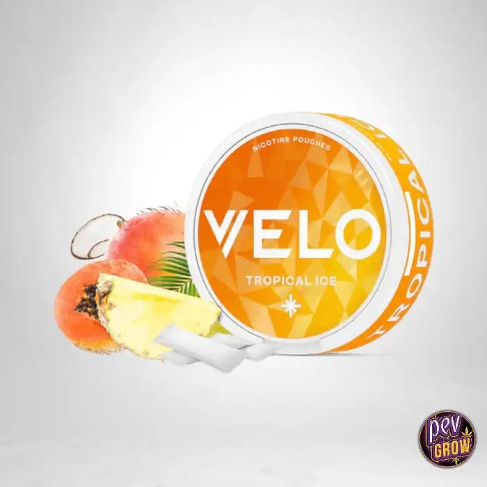 VELO Tropical Ice 10MG – Sachets de Nicotine sans Tabac