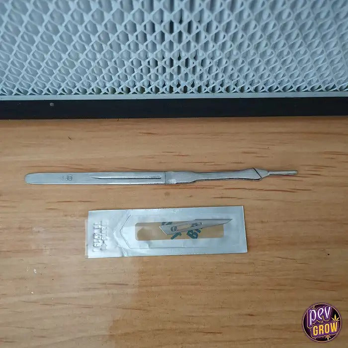 Bistouri de Précision pour Mycologie avec Lames Interchangeables