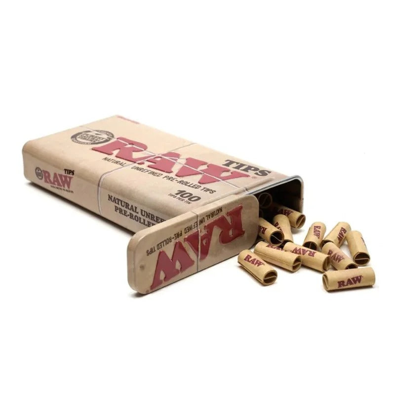 Fitre Raw pré-roll x100