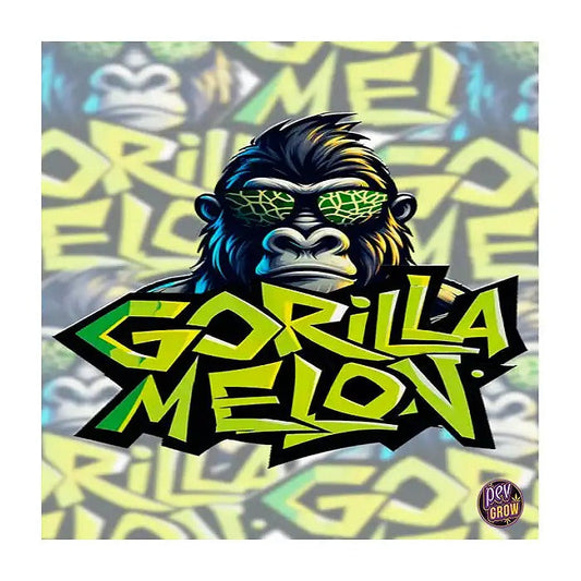 Gorilla Melon 420 Fast Buds – Graines Féminisées · Version Rapide par FastBuds – Hybride Légèrement Indica à Arômes de Melon et THC Élevé