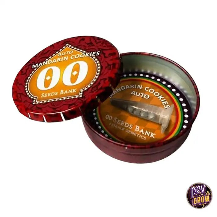 Graines féminisées Mandarin Cookies par 00 Seeds · Hybride citronné-doux pour une clarté et une créativité diurnes