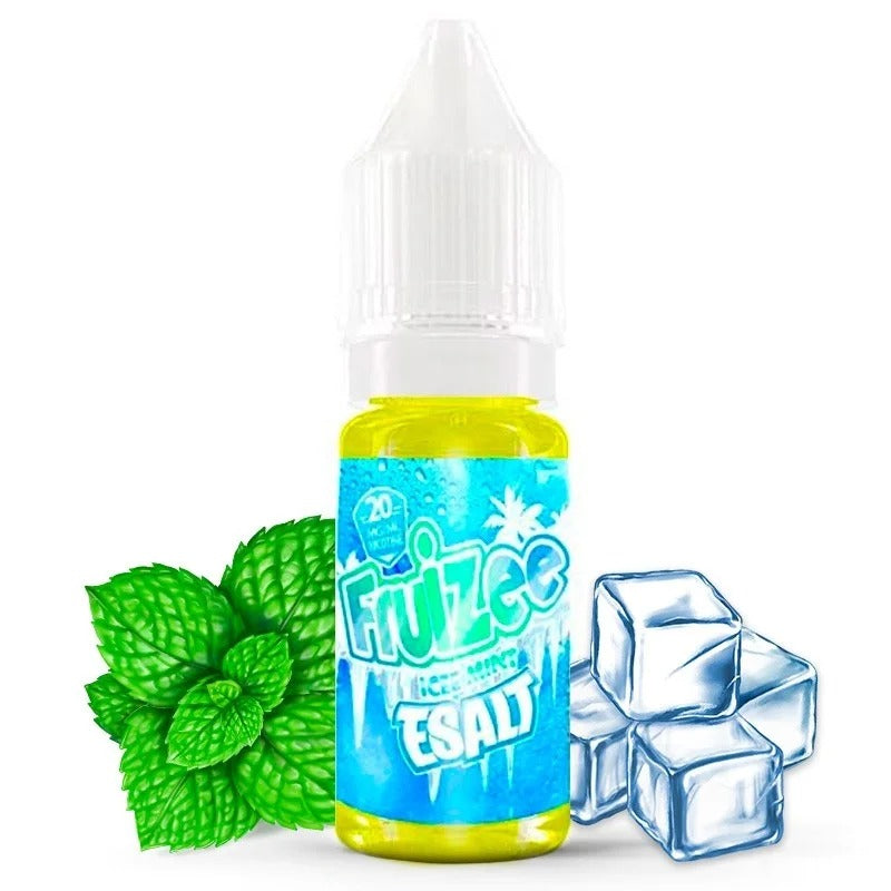 Ice Mint E-Salt 10ml – Fruizee